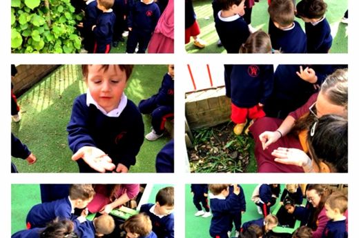 Little Learners go on a bug hunt!